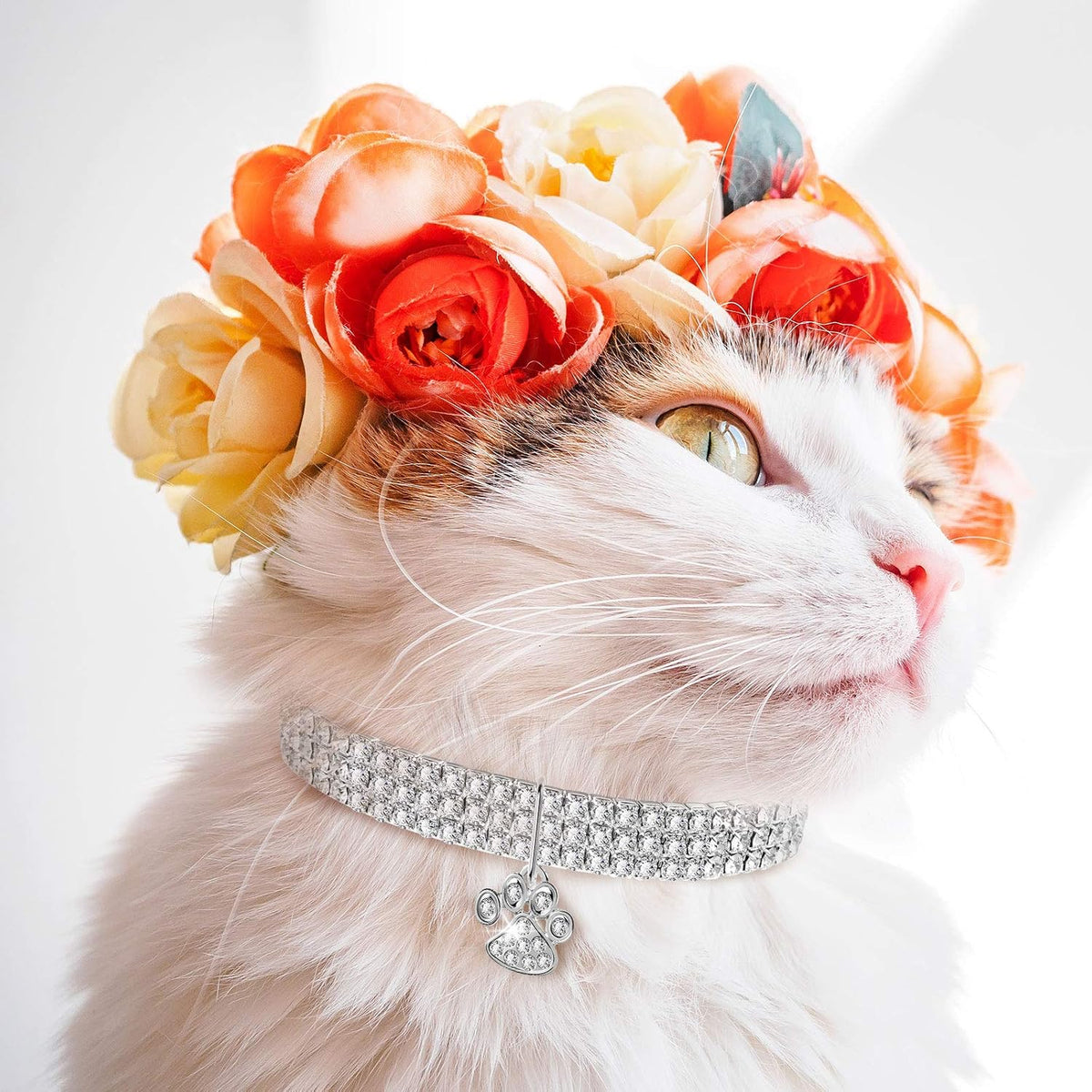 3 Pieces Bling Rhinestones Pet Collars with Glitter Pendant - HYDE Ltd.