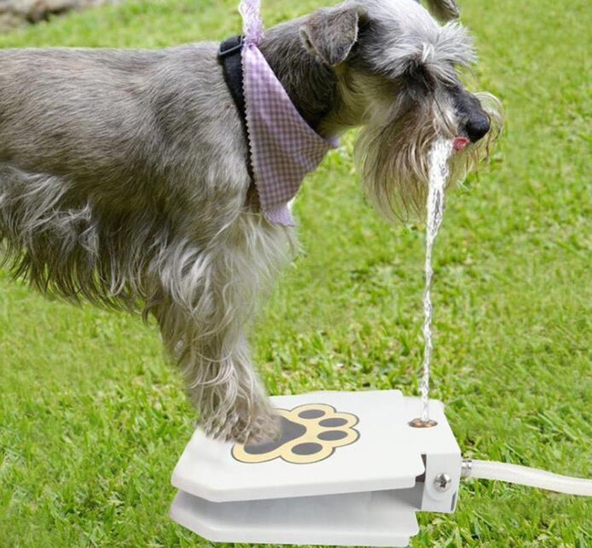 Outdoor Dog Pet Water Fountain - HYDE Ltd.