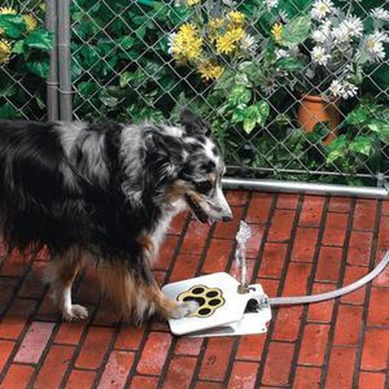 Outdoor Dog Pet Water Fountain - HYDE Ltd.