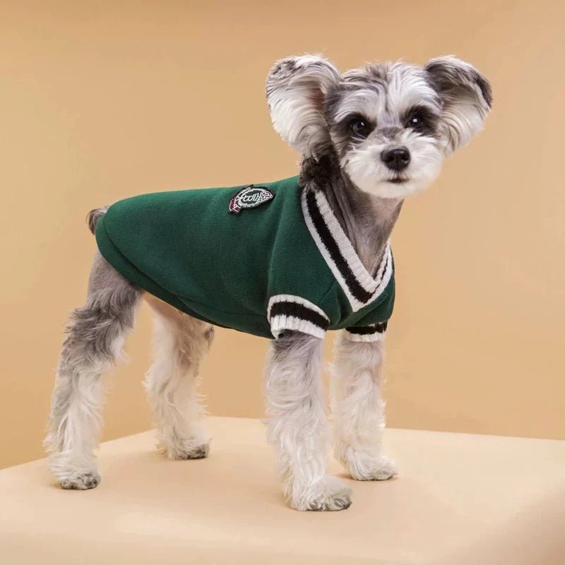 Small dogs need warm clothing during the winter. These puppy vests, clothes, and jackets are designed to keep them cozy. They come in various styles, including college-style V-necks and knitwear. - HYDE Ltd.